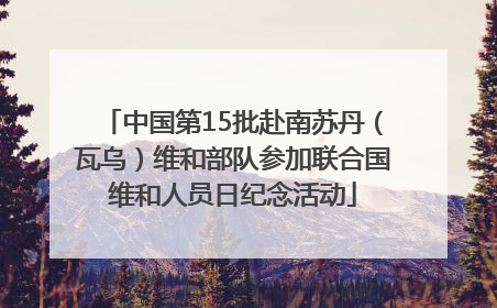 中国第15批赴南苏丹（瓦乌）维和部队参加联合国维和人员日纪念活动